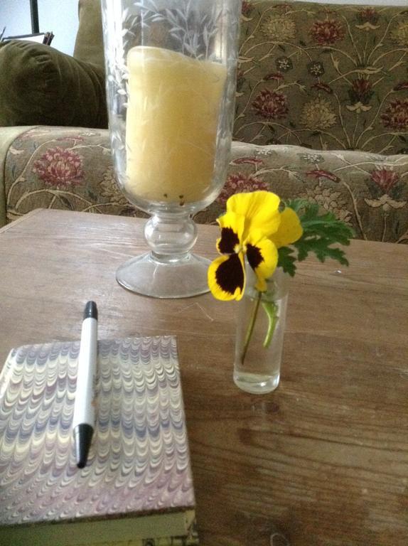 Haddock Hill House Bed and Breakfast Old Chatham Rum bild